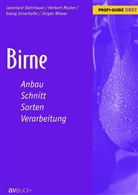 Leonhard Steinbauer - Birne