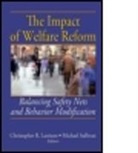 Christopher R. Larrison, Christopher R. Sullivan Larrison, Bruce Sharkin, Bruce S. Sharkin, Michael K. Sullivan, Christopher R Larrison... - Impact of Welfare Reform