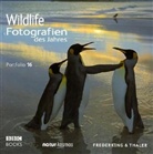 Wildlife Fotografien des Jahres - Portfolio.16: 2006