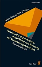 Nin Tomaschek, Nino Tomaschek - Systemische Organisationsentwicklung und Beratung bei Veränderungsprozessen