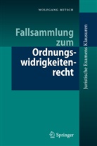 Wolfgang Mitsch - Fallsammlung zum Ordnungswidrigkeitenrecht