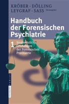 Döllin, Dölling, D Dölling, D. Dölling, Dieter Dölling, Kröbe... - Handbuch der Forensischen Psychiatrie - 1: Strafrechtliche Grundlagen der forensischen Psychiatrie