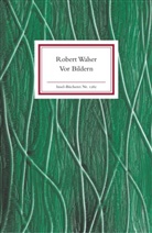 Robert Walser, Bernhar Echte, Bernhard Echte - Vor Bildern