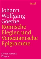Johann Wolfgang von Goethe, Hendri Birus, Hendrik Birus, EIBL, Eibl, Kar Eibl... - Römische Elegien und Venezianische Epigramme