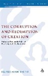 Harry Hahne, Harry Alan Hahne, Hahne Harry - The Corruption and Redemption of Creation