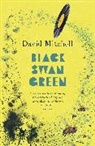 David Mitchell - Black Swan Green