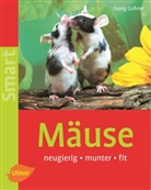 Georg Gassner - Mäuse