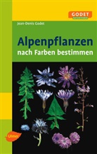 Jean D Godet, Jean-Denis Godet - Alpenpflanzen