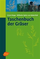 Ernst Klapp, Wilhelm Opitz v. Boberfeld, Wilhelm Opitz von Boberfeld - Taschenbuch der Gräser