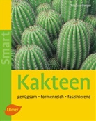 Markus Berger - Kakteen