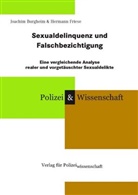 Joachim Burgheim, Hermann Friese - Sexualdelinquenz und Falschbezichtigung