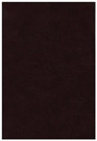 Trier und Freiburg (Schweiz) Liturgischen Instituten Salzbur, Liturgisch Institute Trier Salzburg Fribour - Kleines Stundenbuch: Die Gedenktage der Heiligen
