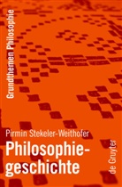 Pirmin Stekeler-Weithofer - Philosophiegeschichte