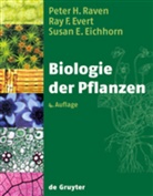 Eichhorn, Susan E Eichhorn, Susan E. Eichhorn, Ever, Ray Evert, Ray F. Evert... - Biologie der Pflanzen