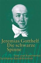 Jeremias Gotthelf - Die schwarze Spinne