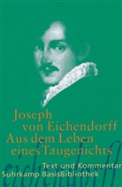 Joseph Eichendorff, Joseph Freiherr von Eichendorff, Joseph Frhr. von Eichendorff, Joseph von Eichendorff - Aus dem Leben eines Taugenichts