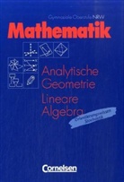 Karste Alpers, Volke Dietzsch, Thomas Jahnke, Thomas u Jahnke, Thoma Jahnke, Thomas Jahnke... - Mathematik: Analytische Geometrie und lineare Algebra, Grundkurs