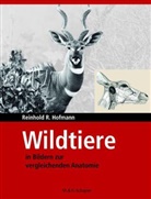 Reinhold R Hofmann, Reinhold R. Hofmann - Wildtiere in Bildern zur Vergleichenden Anatome