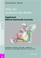 Silke Buda, Klaus Budras, Klaus D Budras, Klaus-Diete Budras, Klaus-Dieter Budras, Bud... - Atlas der Anatomie des Rindes, Supplement
