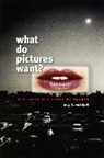 W J T Mitchell, W. J. T. Mitchell, W.J.T. Mitchell - What Do Pictures Want?