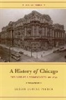 Bessie Louise Pierce - History of Chicago, Volume III