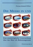 Florian Schmid-Höhne - Die Meere in uns