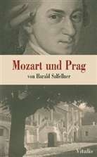 Harald Salfellner - Mozart und Prag