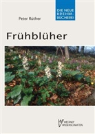 Peter Rüther - Frühblüher