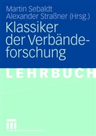 Sebald, Marti Sebaldt, Martin Sebaldt, Strassne, Strassner, Strassner... - Klassiker der Verbändeforschung