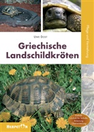 Uwe Dost - Griechische Landschildkröten