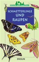Leon Rogez, Léon Rogez - Schmetterlinge und Raupen