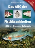 Hochwartner, Hochwartner, Oliver Hochwartner, Licek, Licek, Elisabeth Licek... - Das ABC der Fischkrankheiten