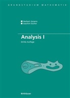 Aman, Herber Amann, Herbert Amann, ESCHER, Joachim Escher - Analysis. Bd.1