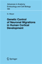 Gundela Meyer - Genetic Control of Neuronal Migrations in Human Cortical Development