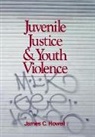 James (Buddy) C. Howell, James C. Howell, Howell James C. - Juvenile Justice and Youth Violence