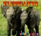 Jill Anderson - Elephants Wild Ones