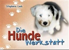 Stephanie Cech - Die Hunde-Werkstatt