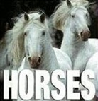 Gabriele Boiselle, Gabriele Dallal Boiselle, Gabrielle Boiselle, Gabrielle Dallal Boiselle, Henry Dallal, Attila Korbely... - Mini Cubebook Horses