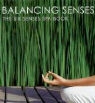 K Brien, O&amp;apos, K O'Brien, Kate O'Brien, J Sundermann, Jorg Sundermann - Balancing Senses