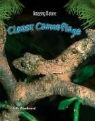 John Woodward - Clever Camouflage
