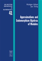 Rüdiger Göbel, Jan Trlifaj - Approximations and Endomorphism Algebras of Modules
