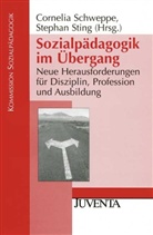 Schweppe, Corneli Schweppe, Cornelia Schweppe, Sting, Stefan Sting, Stephan Sting - Sozialpädagogik im Übergang