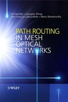 E Bouillet, Eri Bouillet, Eric Bouillet, Eric (IBM Research) Bouillet, Eric (Ibm Research) Ellinas Bouillet, Eric Ellinas Bouillet... - Path Routing in Mesh Optical Networks