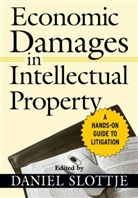 Daniel Slottje, Daniel J. Slottje, Slottje Daniel, Daniel Slottje - Economic Damages in Intellectual Property