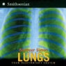Seymour Simon - Lungs