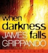 James Grippando, James/ Davis Grippando, Jonathan Davis - When Darkness Falls