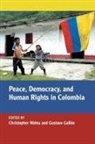 Cynthia J. Arnson, Ana Maria Bejarano, Herbert Tico Braun, Alvaro Camacho Guizado, Daniel Garcia-Pena Jaramillo, Eduardo Pizarro... - Peace, Democracy, and Human Rights in Colombia