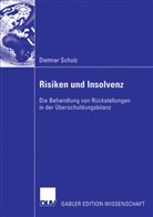 Dietmar Schulz - Risiken und Insolvenz