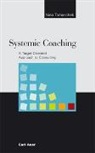 Nino Tomaschek - Systemic Coaching