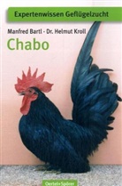 Bart, Manfred Bartl, Kroll, Helmut Kroll - Chabo